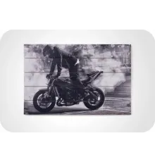 Картина на дереве Moto-moto
